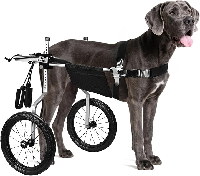 All-Terrain Dog Wheelchair for Back Legs - Lightweight & Adjustable for Medium to Large Dogs - Easy to Assemble Mobility Aid