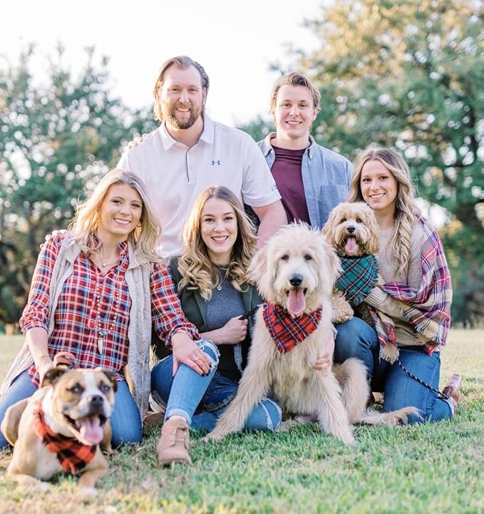 KOOLTAIL Christmas Plaid Dog Bandana 4 Pack - Classic Triangle Scarf Tassels Style Holiday for Dogs Cats Puppy