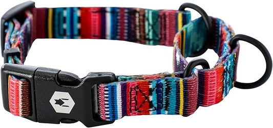 Wolfgang Heavy Duty Martingale Dog Collar with Quick Release Nylon Buckle for Walking & Training, Quetzal Print, Large