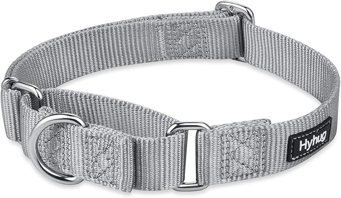 Hyhug Pets Premium Upgraded Heavy Duty Nylon Anti-Escape Martingale Collar for Large Boy and Girl Dogs Comfy and Safe - Professional Training, Daily Use Walking. (Large, Sleet Gray)