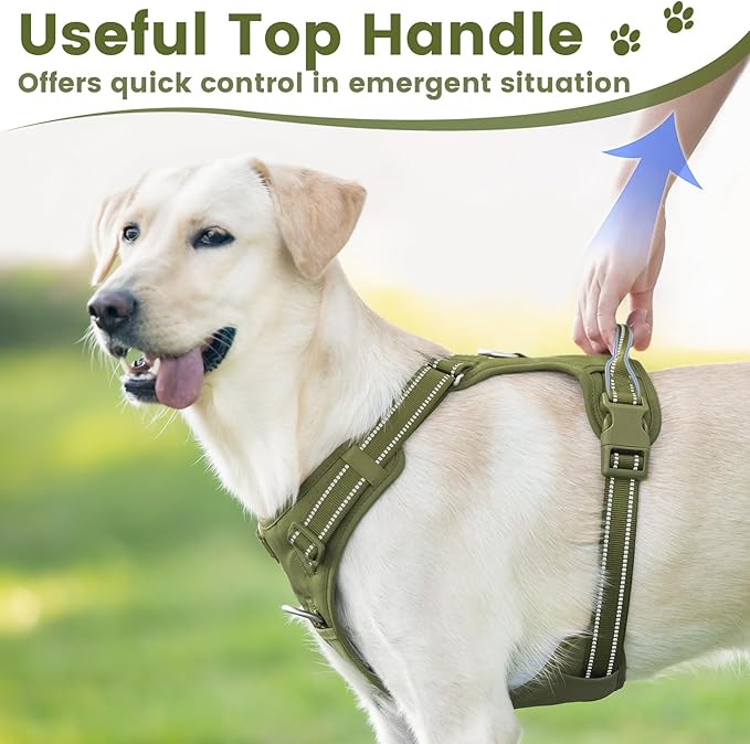 No Pull Dog Harness, Reflective Puppy Vest for Small Medium Large Sized Dog (Misty Green,XS)
