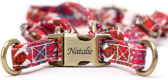 Angie and Allie Organic Cotton Personalized Step in Dog Harness,Custom Dog Halter Vests,Adjustable No Pull Canine Halter Harness for Small Medium Large Dogs
