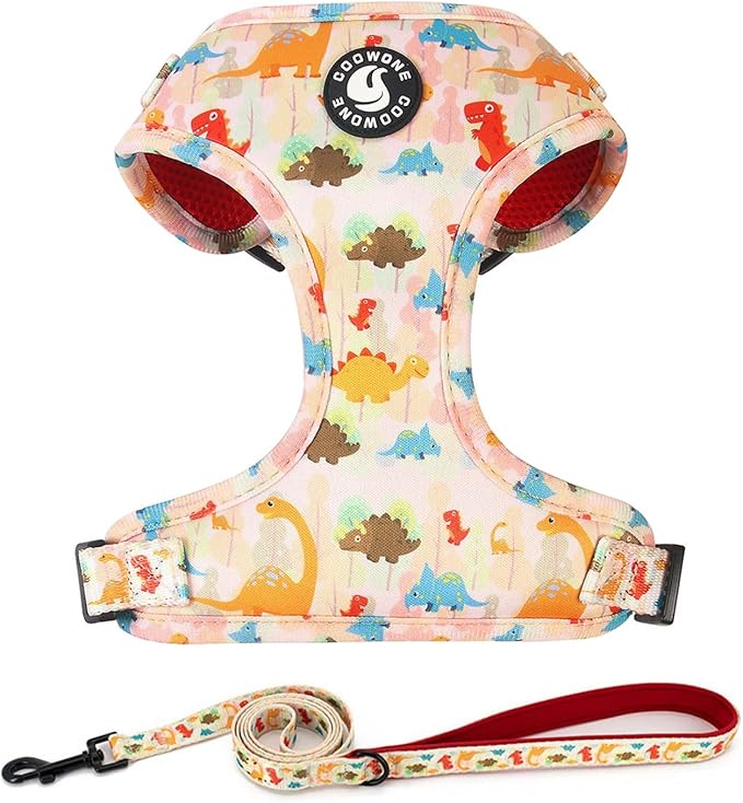 Dog Harness and Leash Set, Adjustable Dog Harness, Dog Leash, No Pull No Choke Puppy Harnesses for Walking Training for Small Medium Pet