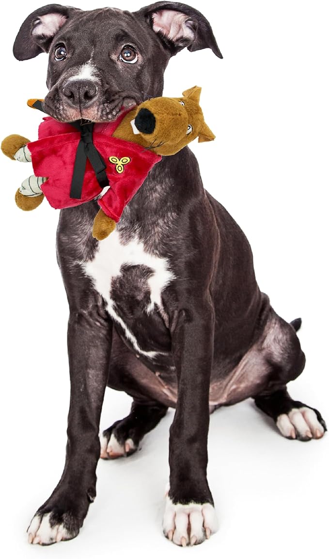 design LAB, Inc. Teenage Mutant Ninja Turtle Official Merchandise | TMNT Gifts Squeaky Plush Dog Toy | Splinter The Rat | Stuffed Animal Rat Squeaks for Interactive Play