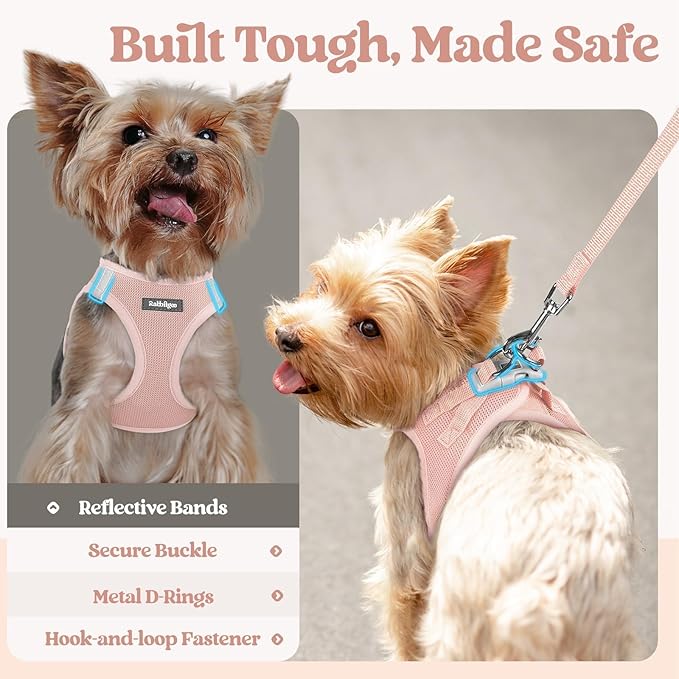 rabbitgoo Dog Harness Small Sized and Leash Set, Step in Soft Light Puppy Vest, Breathable Mesh Pet Harness, Reflective for Outdoor Safe Walking, Pink XXXS