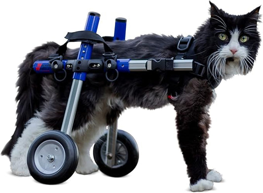 Walkin' Wheels Lightweight – for Small Cats 2 to 20 Pounds – Veterinarian Approved – Cat Wheelchair for Back Legs, for Cats 11-20 lbs, 3-6 inches Leg Height – Blue