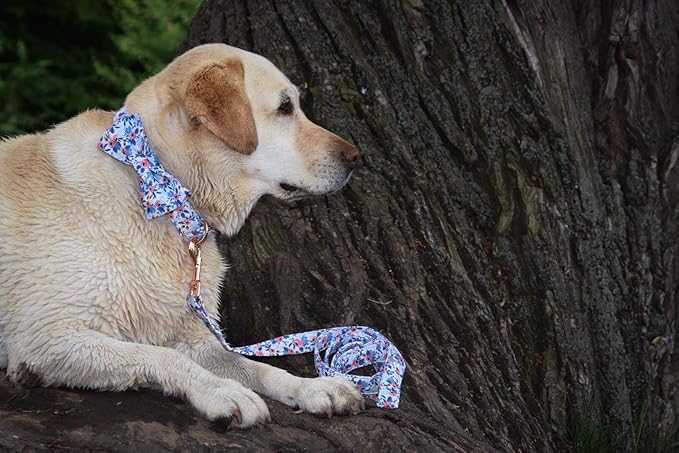 Unique style paws Dog Collar Bow tie Collar Adjustable Collars for Dogs and Cats Small Medium Large