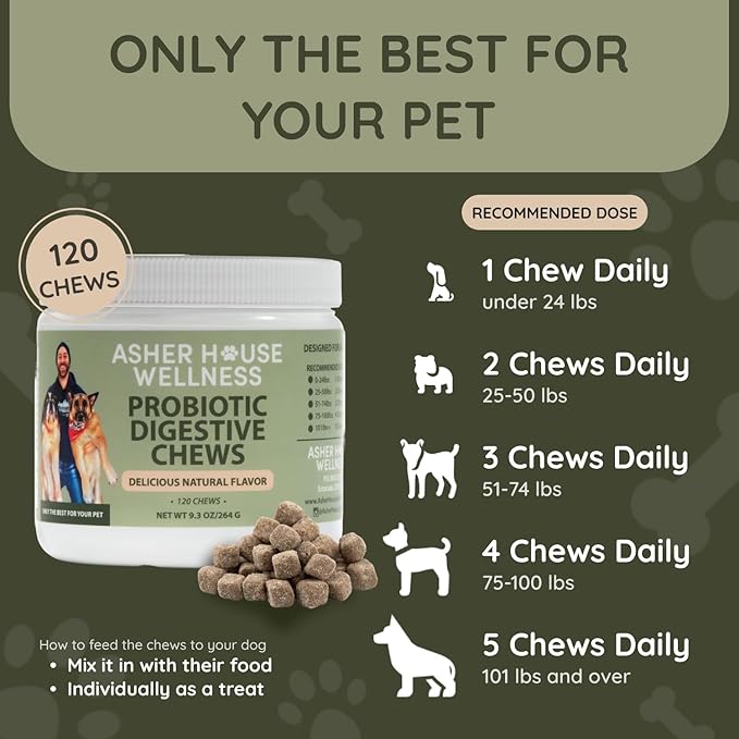 Asher House Wellness Probiotics Digestive Chew for Dogs - Dog Probiotic, Digestive Enzymes for Gut Health & Digestion - Pet Chews for Diarrhea, Upset Stomach, Allergies, Itchy Skin Relief, 120 Chews