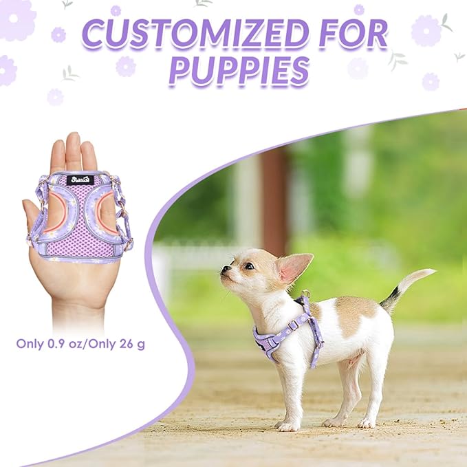 SlowTon Small Dog Harness - No Pull Dog Harness and Leash Set, Soft Mesh Lightweight Puppy Vest Harnesses, Adjustable Pet Harnesses for XXS XS Small Medium Easy Walk Hiking (Purple, S)