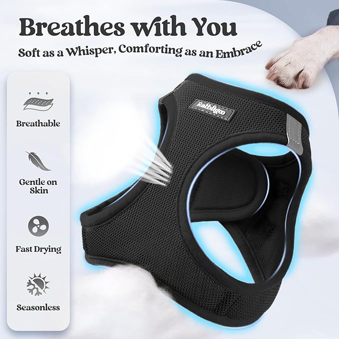 rabbitgoo Dog Harness Small Sized and Leash Set, Step in Soft Light Puppy Vest, Breathable Mesh Pet Harness, Reflective for Outdoor Safe Walking, Black XL