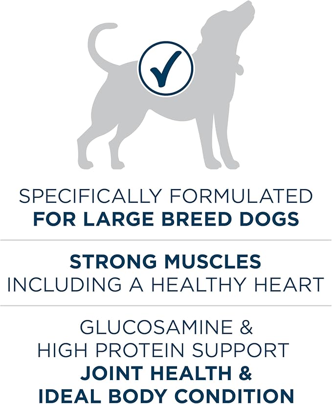 Purina ONE Natural Large Breed Adult Dry Dog Food, +Plus Formula - 16.5 lb. Bag