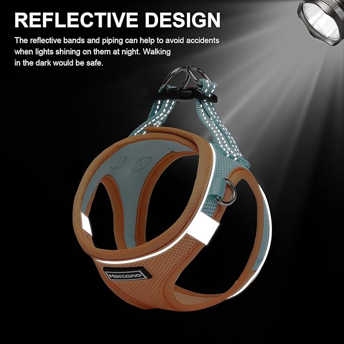 Mercano Soft Mesh Dog Harness and Leash Set, No-Chock Step-in Reflective Breathable Lightweight Easy Walk Vest Harnesses with Safety Buckle for Small Dogs, Cats (L, Orange Blue)