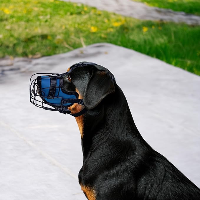 OOPSDOGGY Metal Dog Muzzle for Large Dog, Adjustable Brethable Wire Basket for Rottweiler to Prevent Biting Chewing (Blue, Rottweiler)