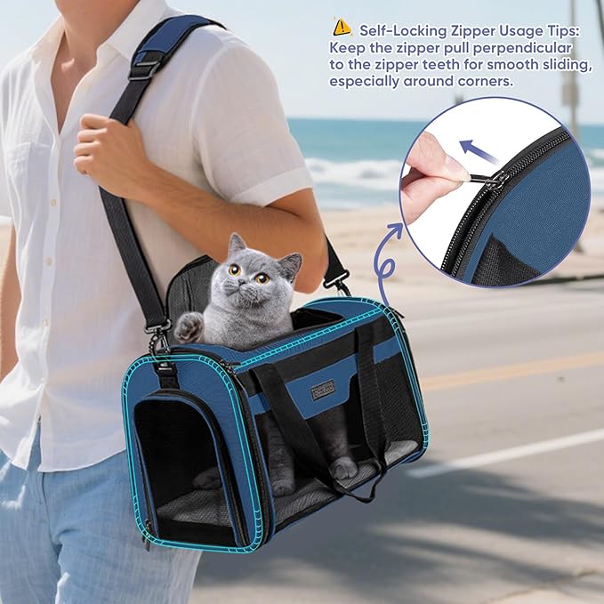 BALEINE Cat Carrier, Puppy Dog Carrier for Small Medium Pets Up to 15 Lbs, Soft-Sided Dog Travel Bag with Safety Zippers, Collapsible Pet Carrying Case (Blue, L, 17"x11"x11")