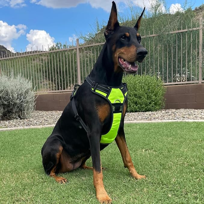 4Knines No Pull Dog Harness for Large Dogs – Adjustable Reflective Harness with Front & Back Leash Clips – Durable, Easy Control for Walks & Training (Yellow)