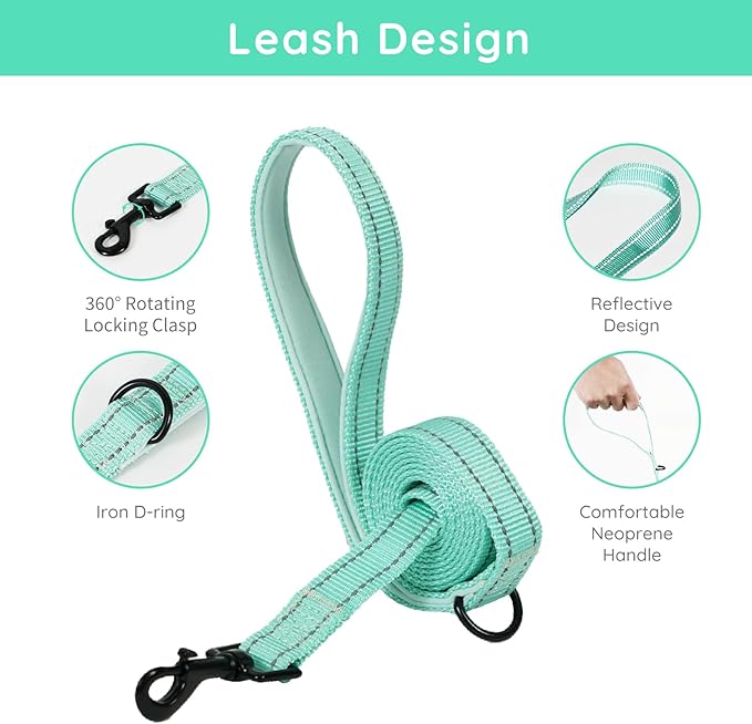 BELLA & PAL Step in Vest Harness for Small and Medium Dogs, No Pull Small Dog Harness with Leash Set, Comfortable Air Mesh Dog Vest Harness with Reflective Strip (Light Green, L)