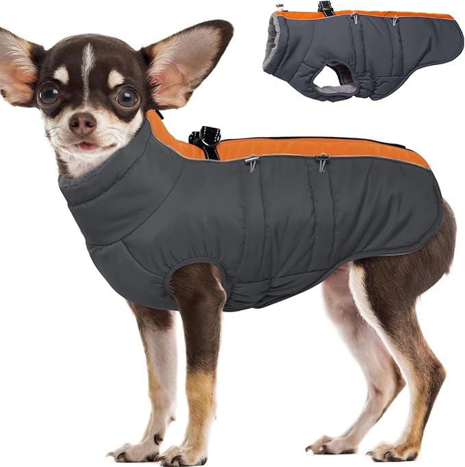 Small Dog Coat - Winter Jacket, Warm Zip Up Snowsuit, Reflective, Water-Resistant, Orange-Gray for Small Dogs, Yorkie, Toy Poodle