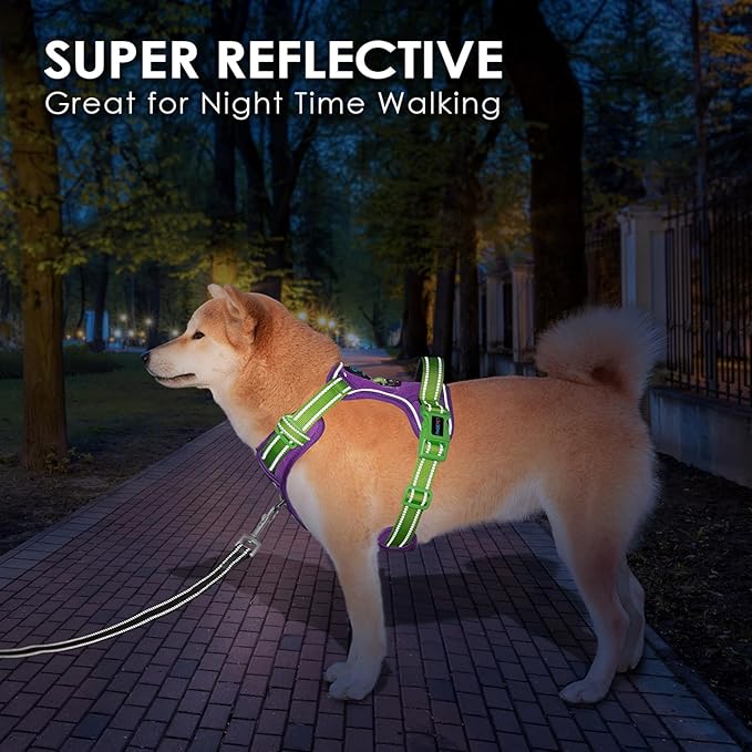 PHOEPET No Pull Dog Harness, Unique Colors Reflective Adjustable Dog Vest, with Soft Training Handle Metal Clips for Small Medium Large Dogs (Purple Base & Green Straps,S)