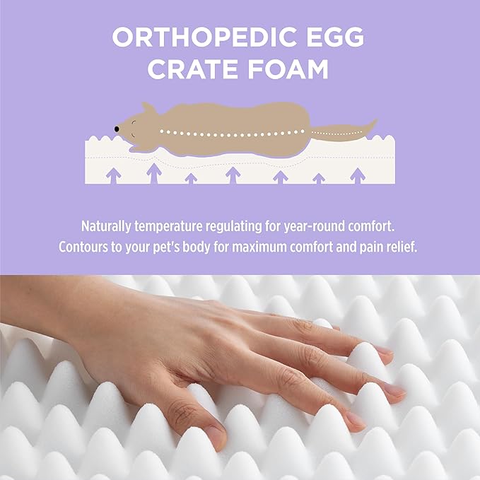 LE SURE Human Dog Bed for Adult - Calming Human Size Dog Bed with Egg Foam Supportive Mat and Storage Pocket, Cute Modern Pet Beds with Jacquard Shaggy Plush & Anti Slip Bottom 55x37x10, Blue