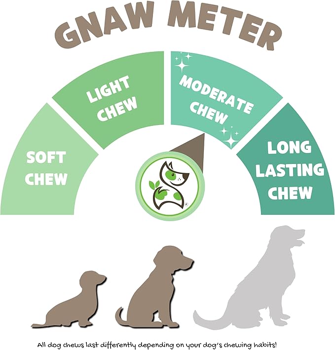 Nature Gnaws Braided Beef Gullet Chews for Dogs 5-6" (10 Count) - Long Lasting for Small and Medium Dogs - Natural Beef Jerky Dog Chew Bones