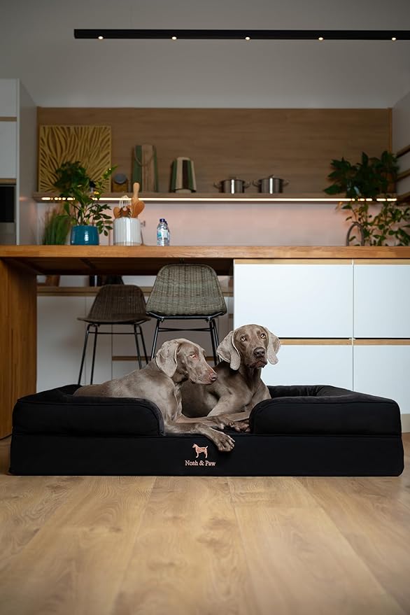 NOAH & PAW Giant Dog Bed XXL, 55x45x11 Inch, Orthopedic Dog Beds, Eggshell Memory Foam Infused with Cooling Gel, Inner Cover, Waterproof, Machine Washable (Denim Sofa Collection)