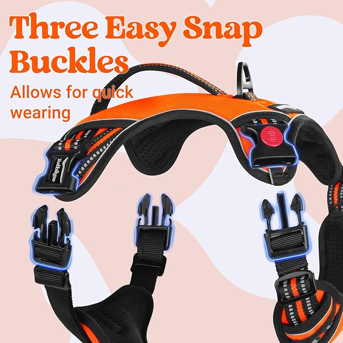 rabbitgoo Dog Harness Small Sized Dog, No Pull Pet Harness with Soft Padded Handle, Adjustable Reflective Vest with 3 Buckles, Easy Walking Harness with 2 Leash Clips, Orange, S