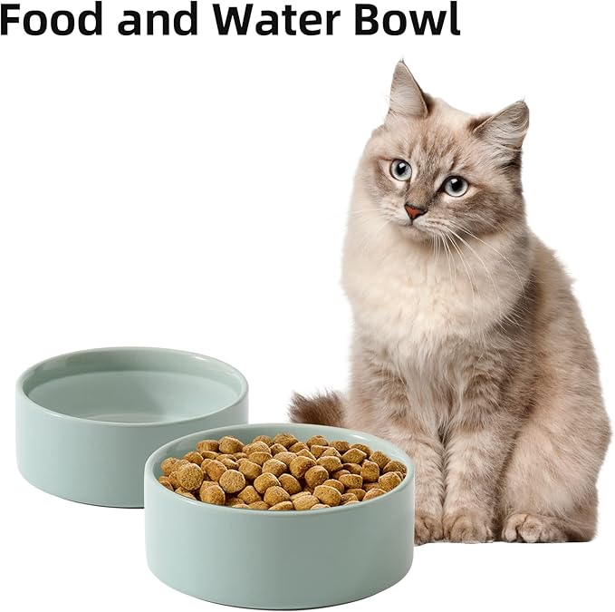 Ceramic 5.1inch Set of 2 Dog and Cat Bowls, 2pcs Anti-Slip Food and Water Feeder Dishes for Puppies, Kitties, Cats(2 Bowls, Light Green)