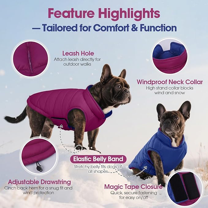 QBLEEV Reversible Dog Coat, Warm Dog Winter Coat for Medium Dogs, Lightweight Windproof Padded Vest for Dogs, Waterproof Adjustable Puffer Cold Weather Jacket for French Bulldog Beagle, Violet, M