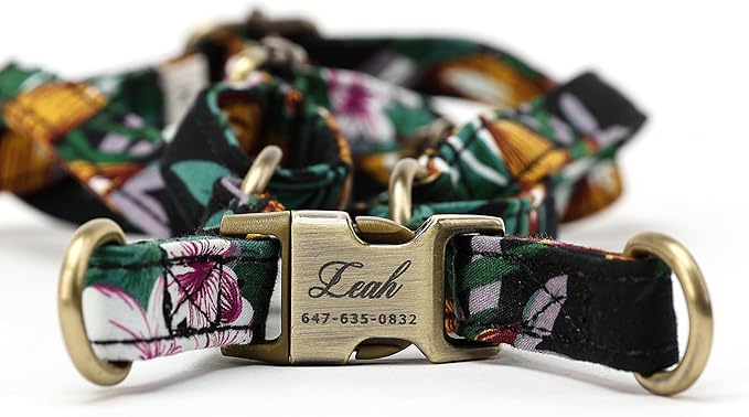 Angie and Allie Organic Cotton Personalized Step in Dog Harness,Custom Dog Halter Vests,Adjustable No Pull Canine Halter Harness for Small Medium Large Dogs