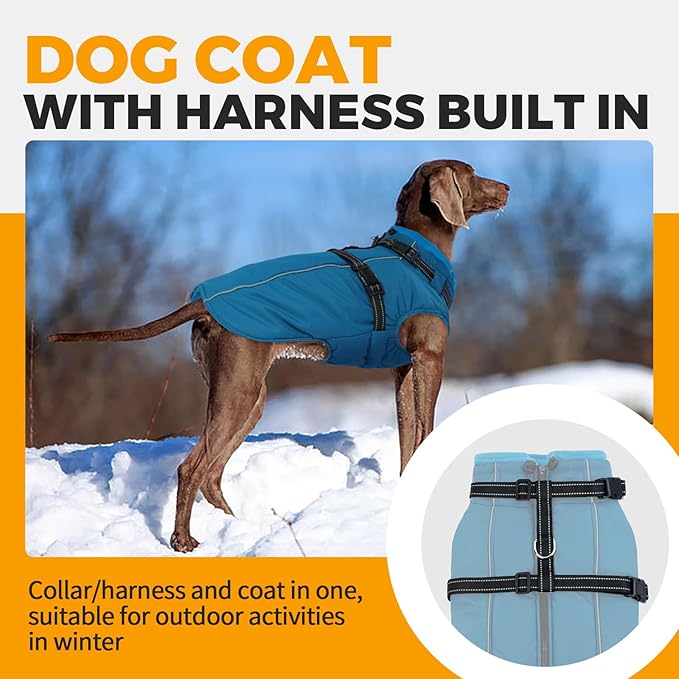 Lelepet Waterproof Dog Jacket with Harness Built in Warm Dog Winter Coat, Windproof Reflective Fleece Jacket, Dogs Coats for Medium Dogs,Thermal Pet Snowsuit for Cold Weather, Schnauzer, Pug, Blue M