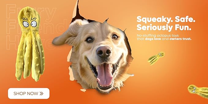 Squeaky Dog Toys – No-Stuffing Crinkle Plush, Durable Puppy Teething & Interactive Play, 2-Pack