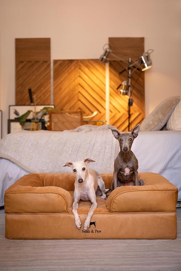NOAH & PAW Large Dog Bed, 35x25x11 Inch, Orthopedic Dog Beds, Eggshell Memory Foam Infused with Cooling Gel, Inner Cover, Waterproof, Machine Washable (Faux Leather Sofa Collection)