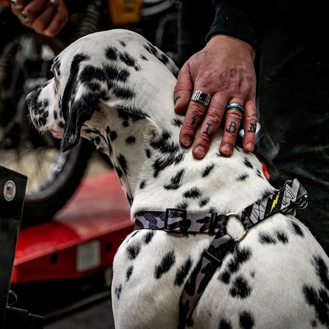 Wolfgang Heavy Duty Adjustable Dog Harness, Pull-Tested to Over 800 lbs for Walking & Training, DarkSkies Print, Large