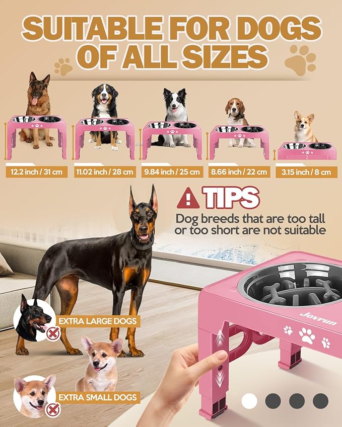 Elevated Dog Bowls, Dog Feeder with 2 Stainless Steel Dishes &1 Slow Feeder Bowl, 5 Heights Adjustable Raised Stand for Medium Large, Food Dishes with Non-Slip Feet