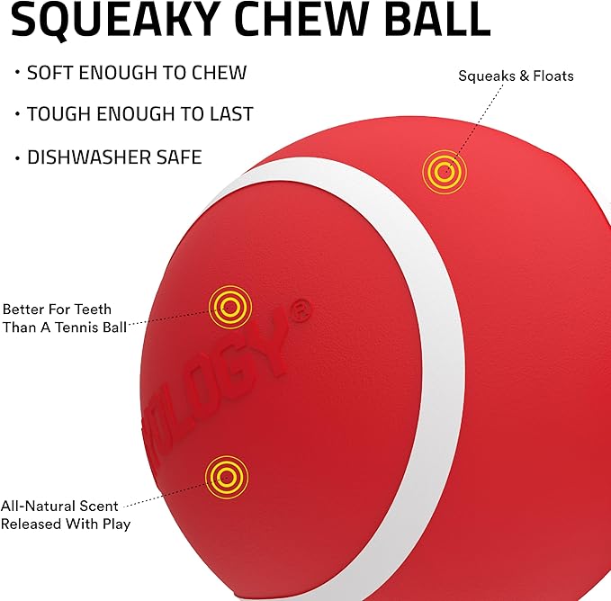 Playology Dog Toys | Squeaky Chew Ball - Bouncy Durable Floating Fetch Ball for Dogs | Jumbo Beef Scented Toy - Easy to Clean and Made from Non Toxic Materials
