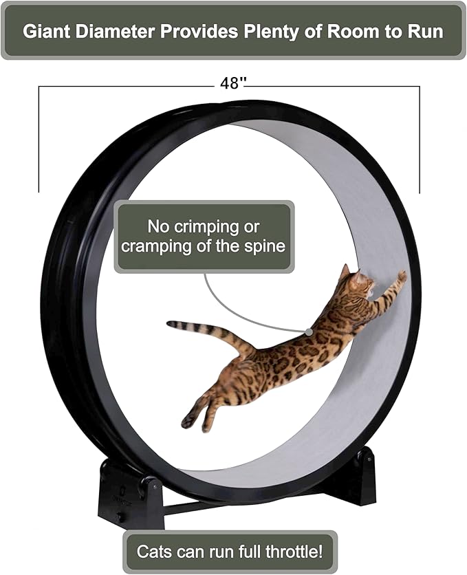 One Fast Cat - Cat Exercise Wheel - Gen. 7 - Safe 48" Diameter - Made in The USA - Black Wheel with Gray Felt Traction Pads and Light-Up LED Inline Wheels