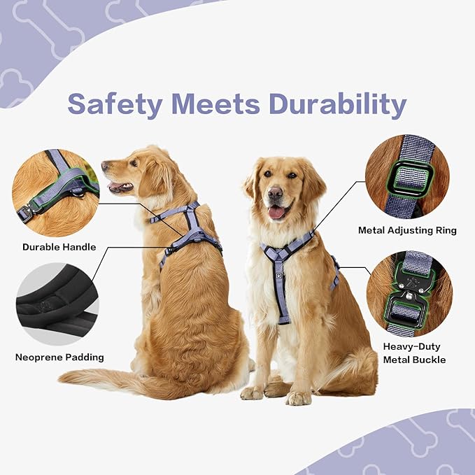 PawsPassion Dog Harness for Small Dogs, No Pull Dog Harness Easy Walk with Metal Hardware, Ergonomic Y-Shaped Design, Soft Padding, Padded Handle, Durable High-Tensile Nylon (Lilac Breeze, S)