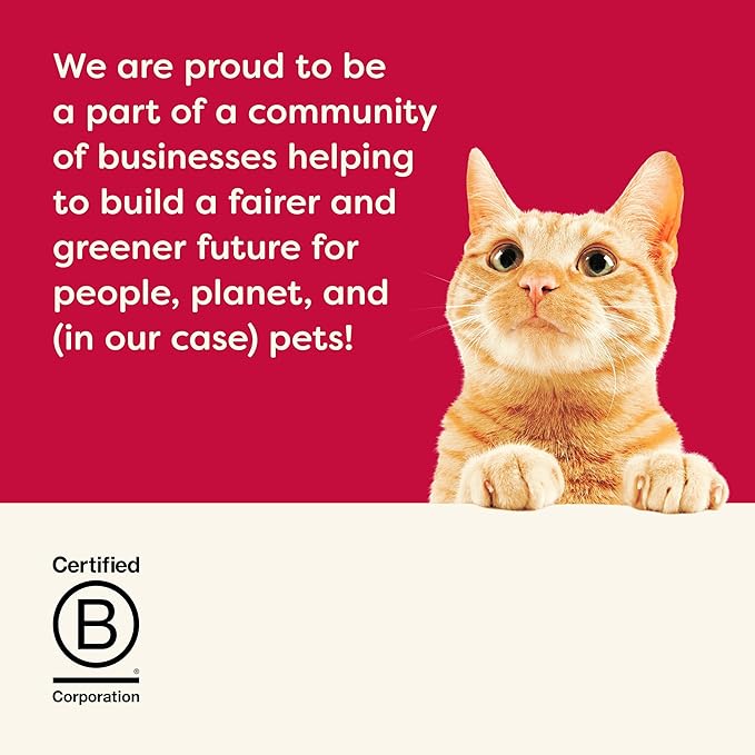 Applaws Lickable Holiday Cat Treats, Natural Grain-Free Purée, Made with Limited and Natural Ingredients, No Artificial Additives, Chicken, Tuna & Salmon Squeeze Up Cat Treats (60 x 0.5 oz Sachets)