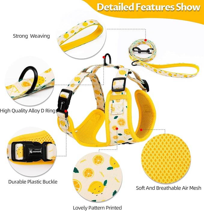 Dog Harness and Leash Set, Adjustable Dog Harness, Dog Leash, No Pull No Choke Puppy Harnesses for Walking Training for Small, Medium Pet (Lemon, S(Chest 13-19", Neck 9.5-13.1"))