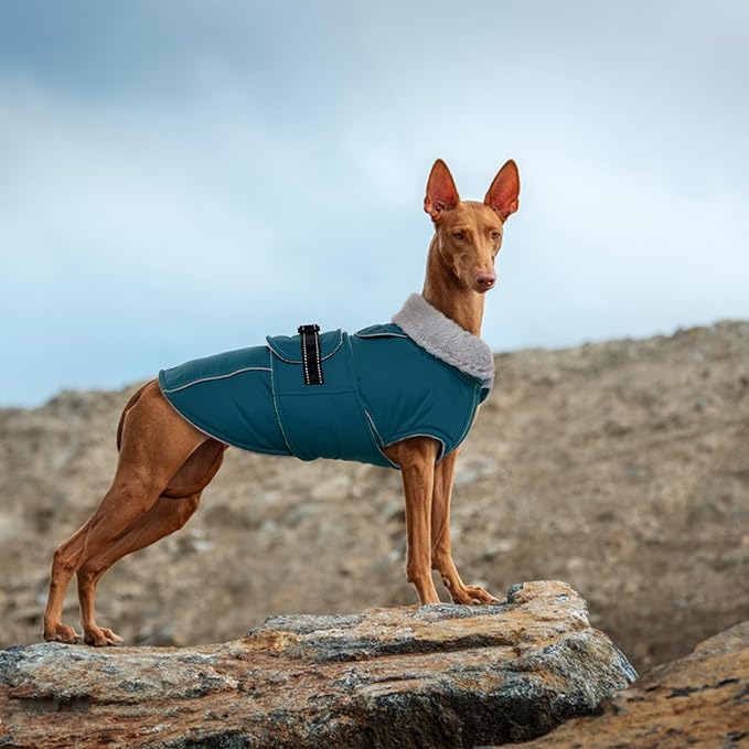 Lelepet Warm Dog Coat Reflective Fleece Vest Waterproof Dog Jacket with Adjustable Buckle Hook & Loop Windproof Cold Weather Coats for Small Medium Large Dogs, Dark Green, M