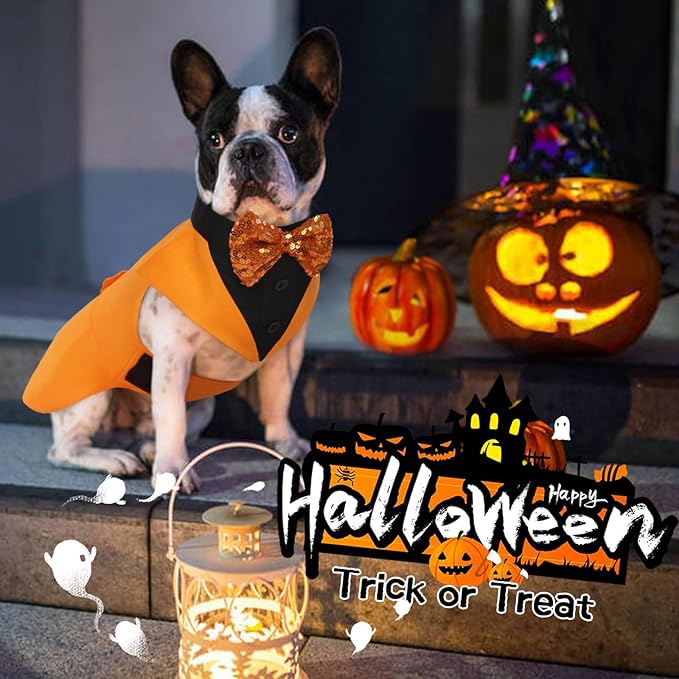 Kuoser Dog Tuxedo Suit and Bandana Set, Pumpkin Color Dogs Thanksgiving Outfit Adjustable Dog Halloween Costume with Bow Tie for Large Medium Small Dogs Golden Retriever Samo Bulldogs, S