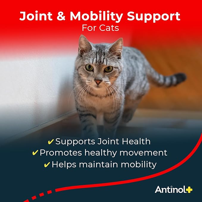 Plus, Mobility, Hip, and Joint Supplement for Cats, Green-Lipped Mussels and Krill Oil - Cat Joint Supplement, 30 Soft Gels