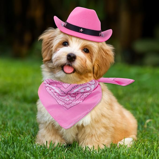 Yewong Pet Cowboy Costume Accessories Dog Cat Pet Size Cowboy Hat and Bandana Scarf West Cowboy Accessories for Puppy Kitten Party Festival and Daily Wearing Set of 2 (Pink)