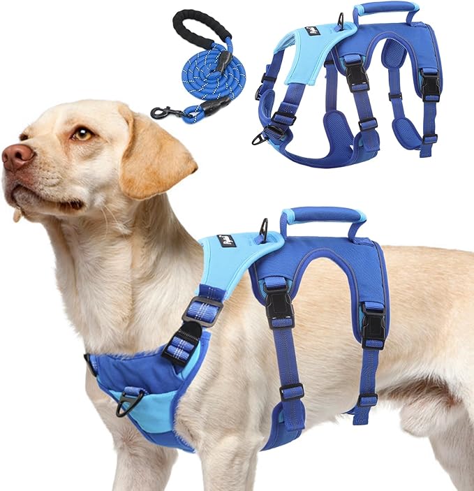PUPTECK Escape Proof Dog Harness and Leash Set Upgraded No Pull Reflective Dog Vest with Lift Handle, Easy Control Pet Harness for Medium Large Dogs Training Walking Running, Blue, XL
