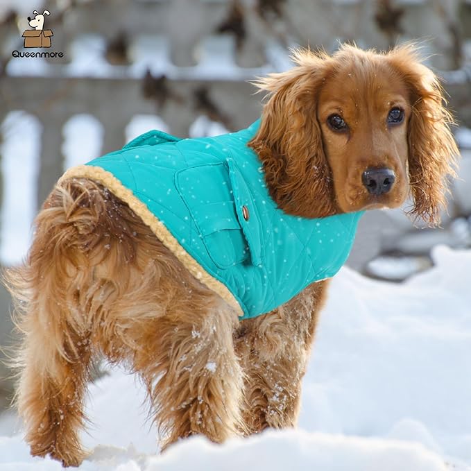 Queenmore Warm Dog Coat, Cold Weather Puffer Dog Coat Vest, Quilting Winter Pet Jacket Ultra Thick Plush Fleece Lining Pet Clothes for Dogs with Storage Pockets (Light Blue, Small)