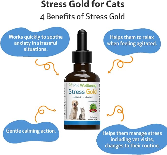 Pet Wellbeing Stress Gold for Cats - Vet-Formulated Situational Feline Stress Support - Fast-Acting Vet Visits, Travel, Grooming - Cat-Safe Holistic Herbal Blend - Liquid Support 2 oz (59ml)