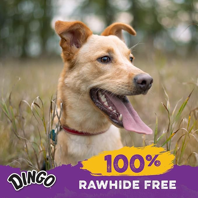 Dingo Delights 100% Rawhide Free Dog Treat Made with Real Chicken for Small, Medium, and Large Dogs 9-Count