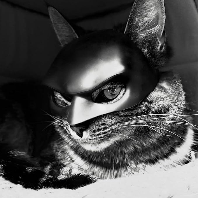 Cat Mask Cosplay, Cat Halloween Costumes, Funny Cat Costumes Accessories (Large)