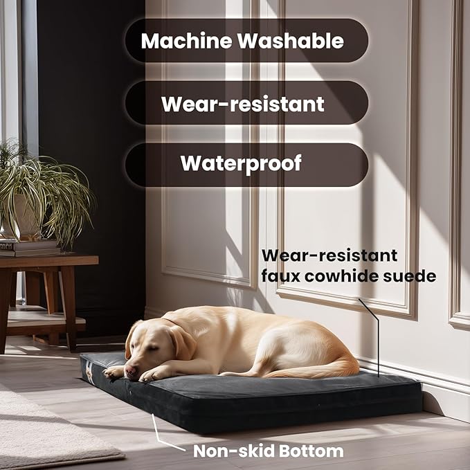 Laifug Orthopedic Memory Foam Pet(40"x 25"x 4",Black)/Dog Bed with Durable Waterproof Liner and Removable Washable Cover