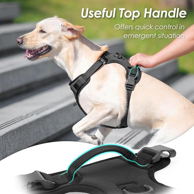 No Pull Dog Harness, Puppy Vest with Front Clip for Small Medium Large Sized Dog(Black,XL)